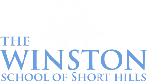 Winston brand logo in light blue